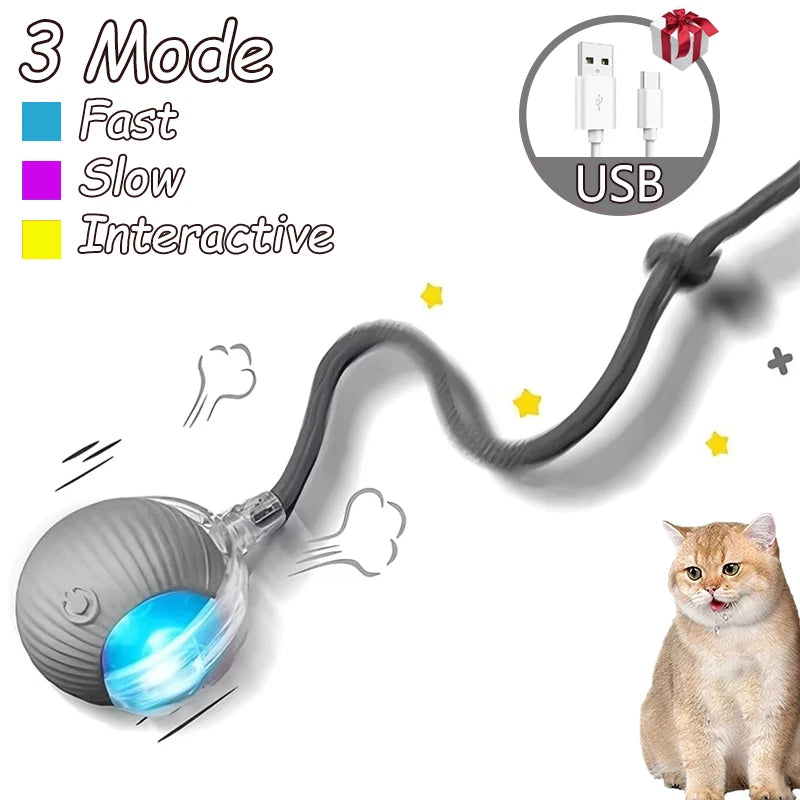 S950b85f45b074b43b79d9dccc53c6e0bi